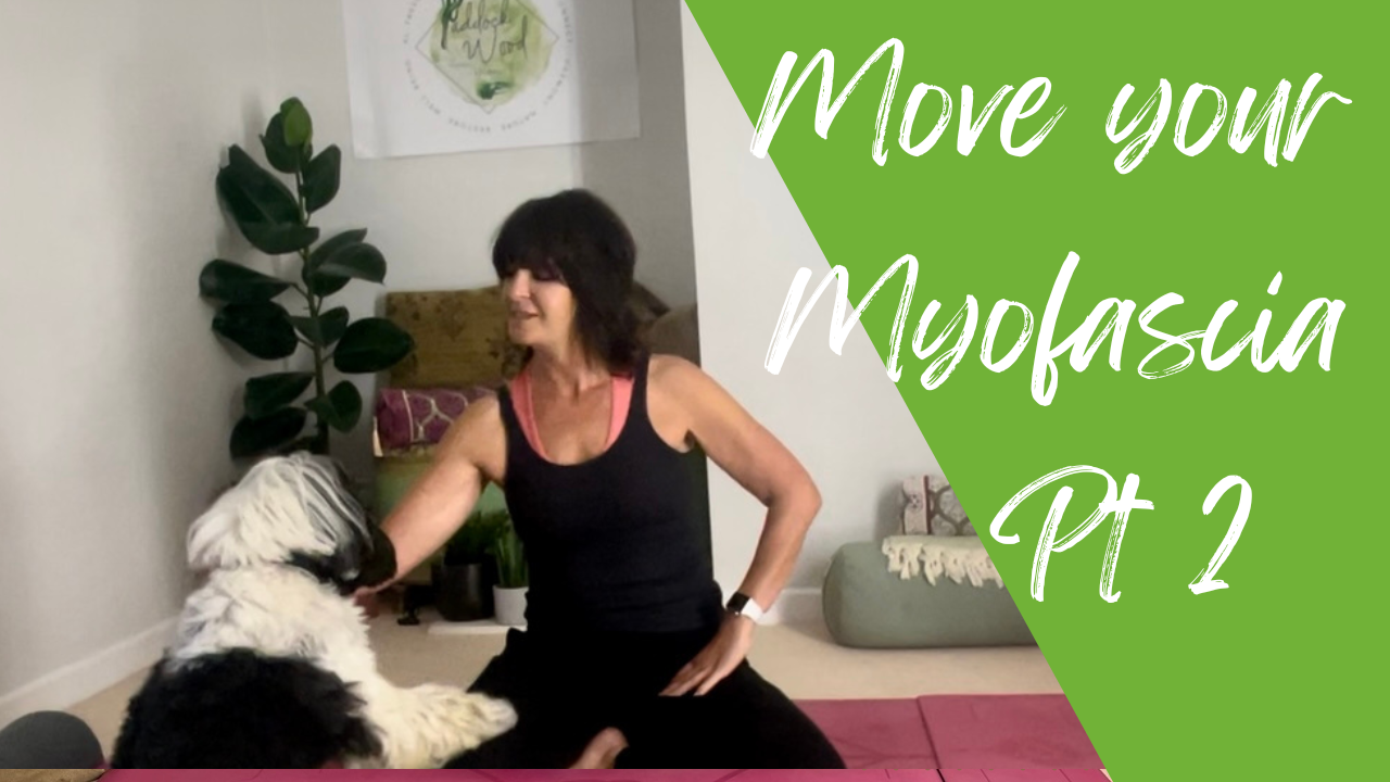 Move Your Myofascia Part 2